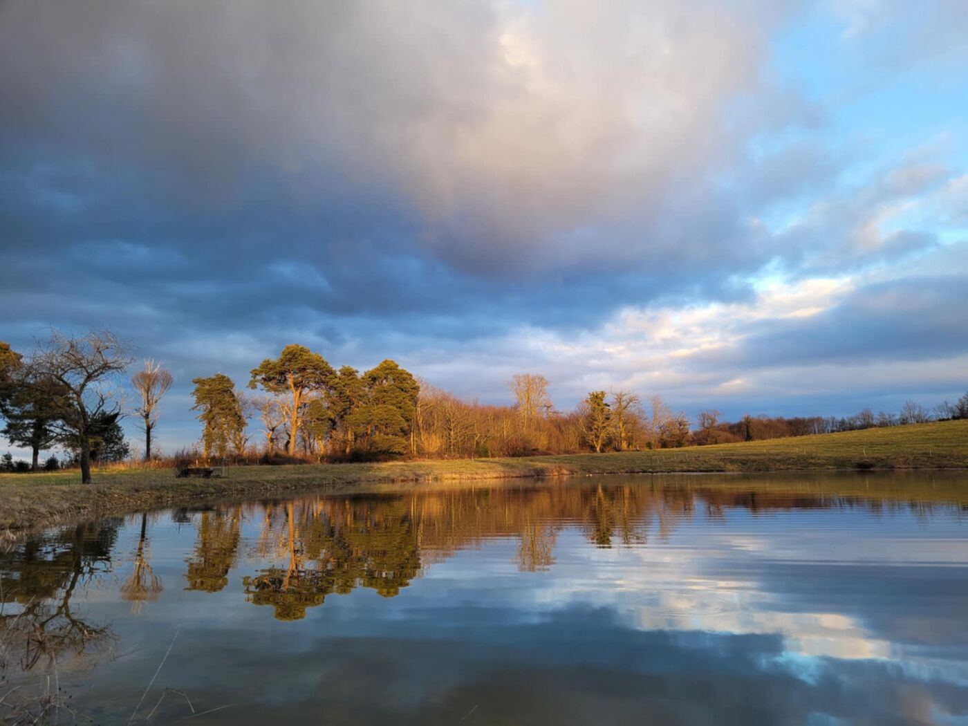 Étang de la Tuillère à Chatonnay — lieu du Festichat'